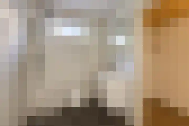 't Laag 7 Bolsward thumbnail 11