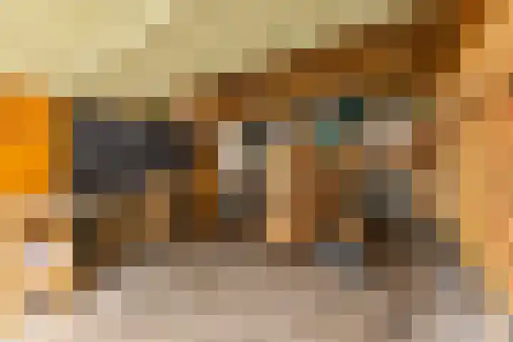 't Laag 7 Bolsward thumbnail 13