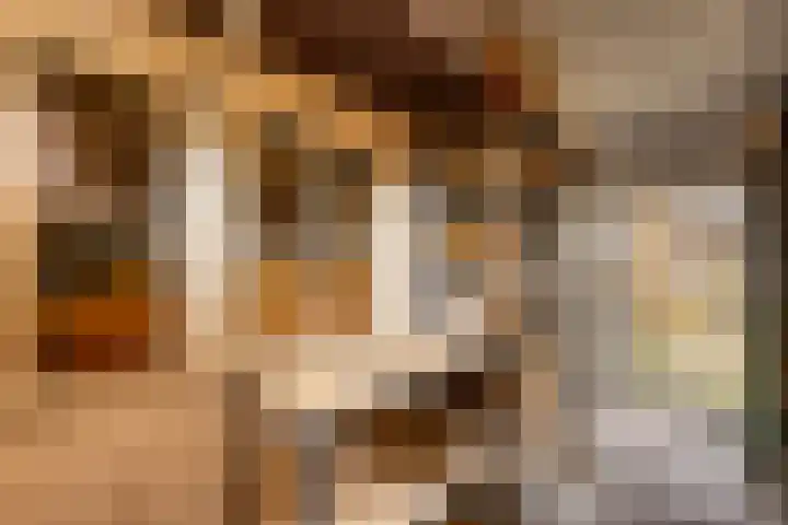 't Laag 7 Bolsward thumbnail 14