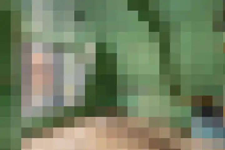 't Laag 7 Bolsward thumbnail 17