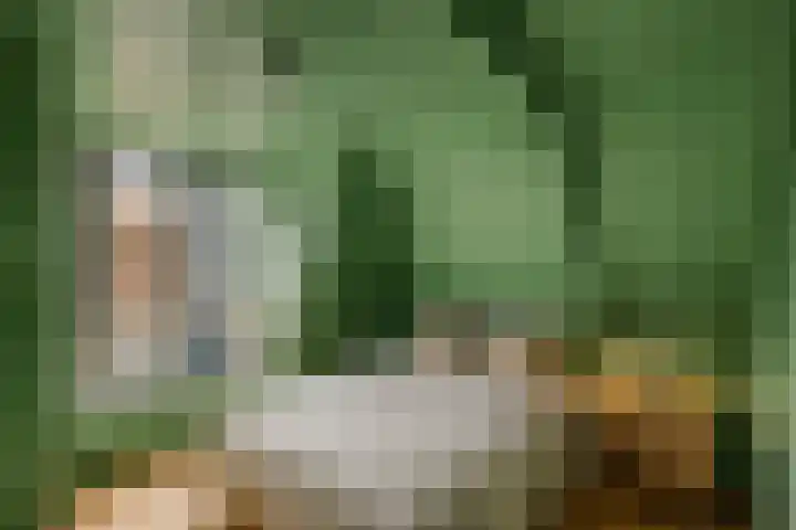 't Laag 7 Bolsward thumbnail 18