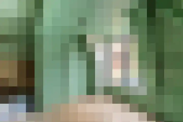 't Laag 7 Bolsward thumbnail 19