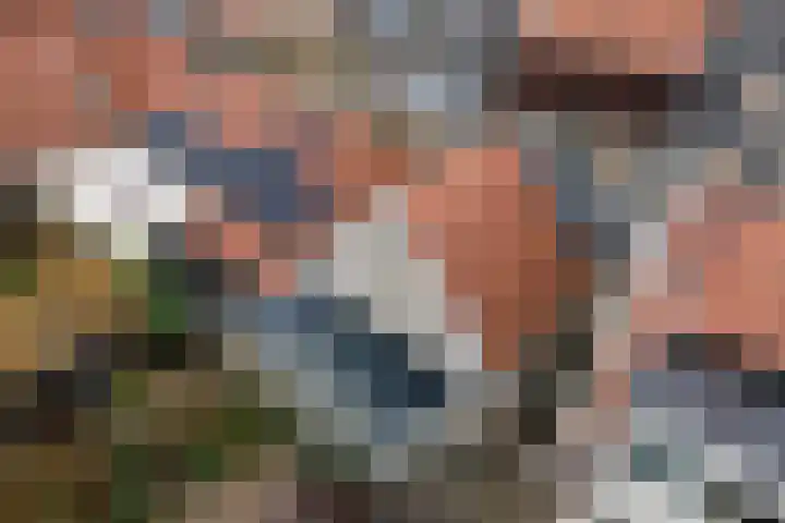 't Laag 7 Bolsward thumbnail 21