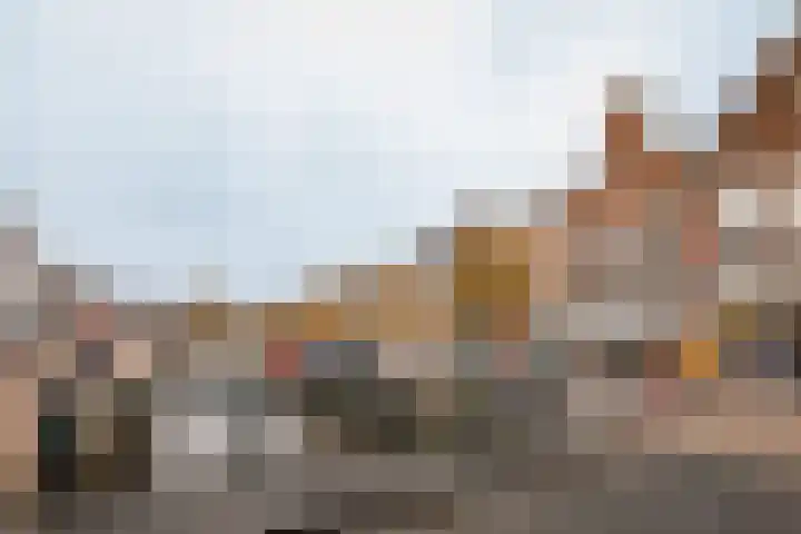 't Laag 7 Bolsward thumbnail 24