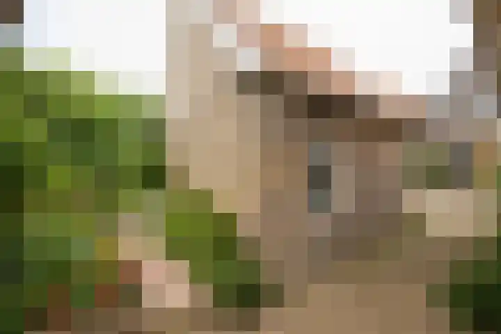 't Laag 7 Bolsward thumbnail 8