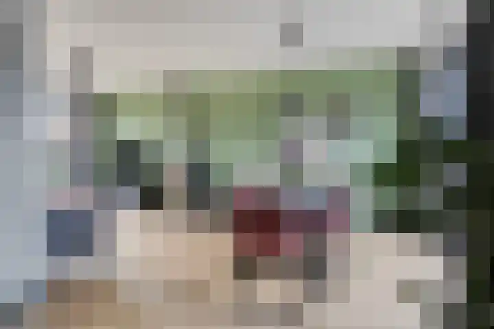 't Laantje 1 Kerkwerve thumbnail 15