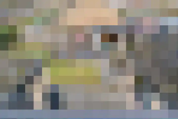 't Laantje 1 Kerkwerve thumbnail 23