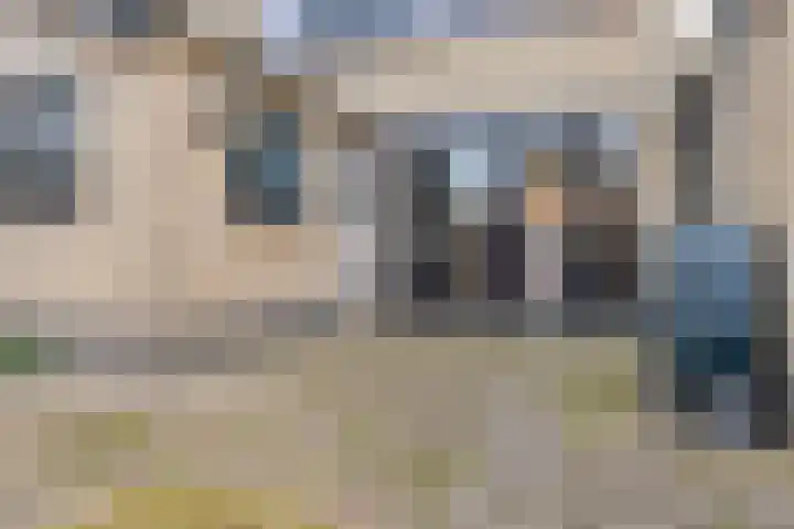 't Laantje 1 Kerkwerve thumbnail 37