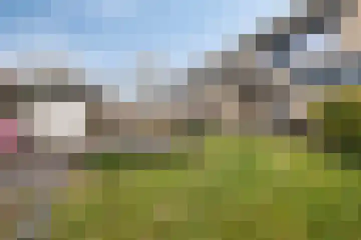 't Laantje 1 Kerkwerve thumbnail 4