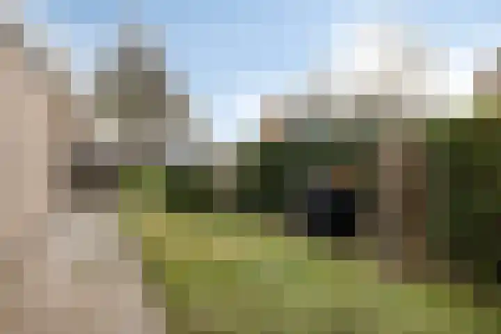 't Laantje 1 Kerkwerve thumbnail 42