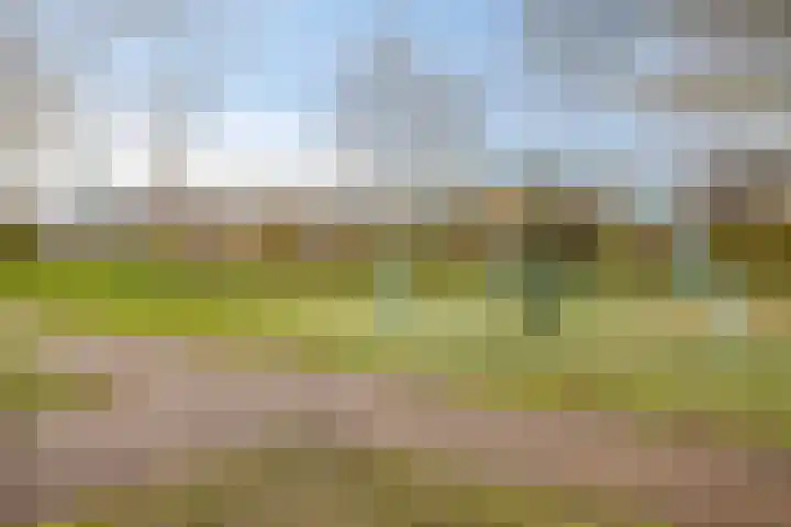 't Laantje 1 Kerkwerve thumbnail 45