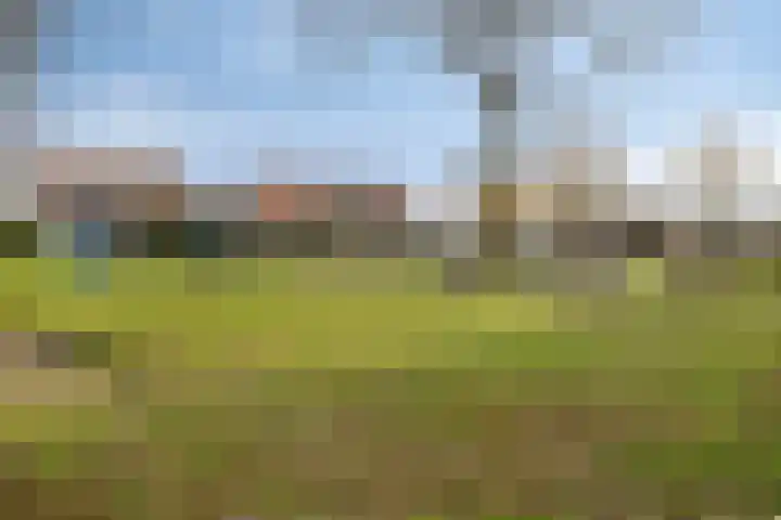 't Laantje 1 Kerkwerve thumbnail 46