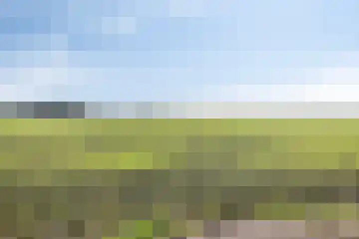 't Laantje 1 Kerkwerve thumbnail 48