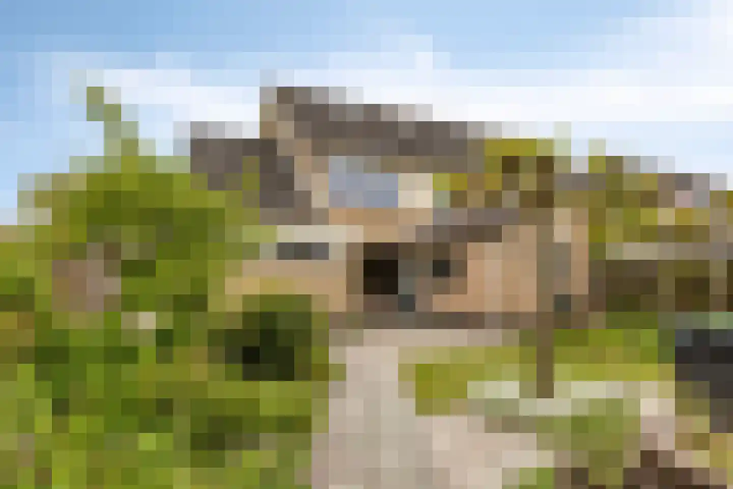 't Laantje 7 Kerkwerve foto 2