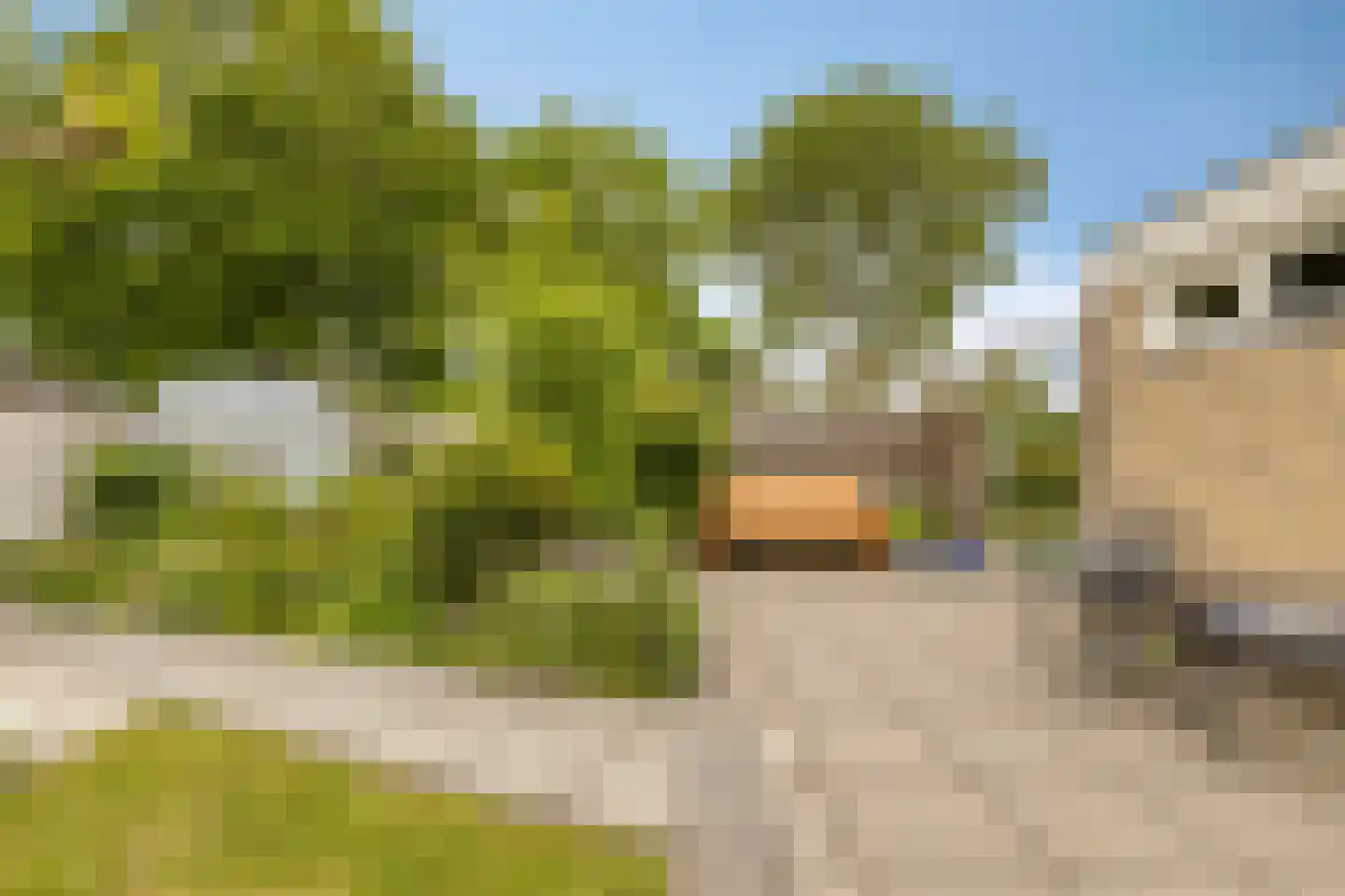 't Laantje 7 Kerkwerve thumbnail 37