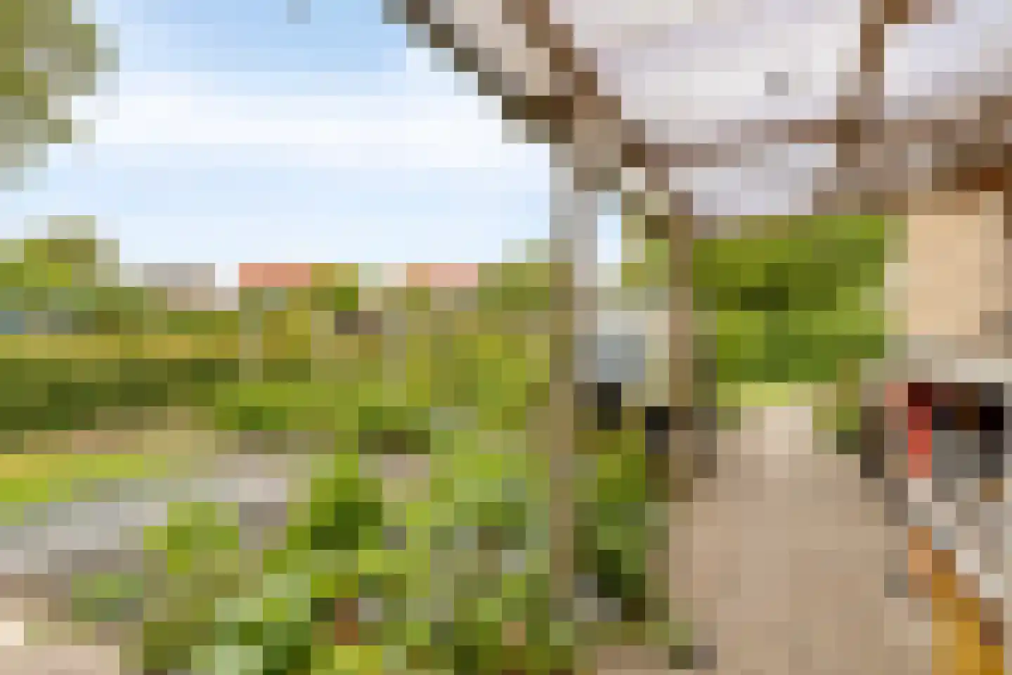 't Laantje 7 Kerkwerve thumbnail 40
