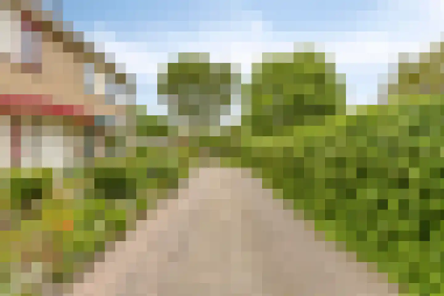 't Laantje 7 Kerkwerve thumbnail 46