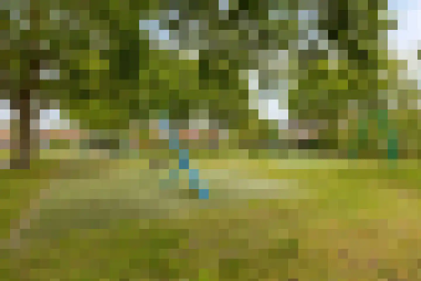 't Laantje 7 Kerkwerve thumbnail 51