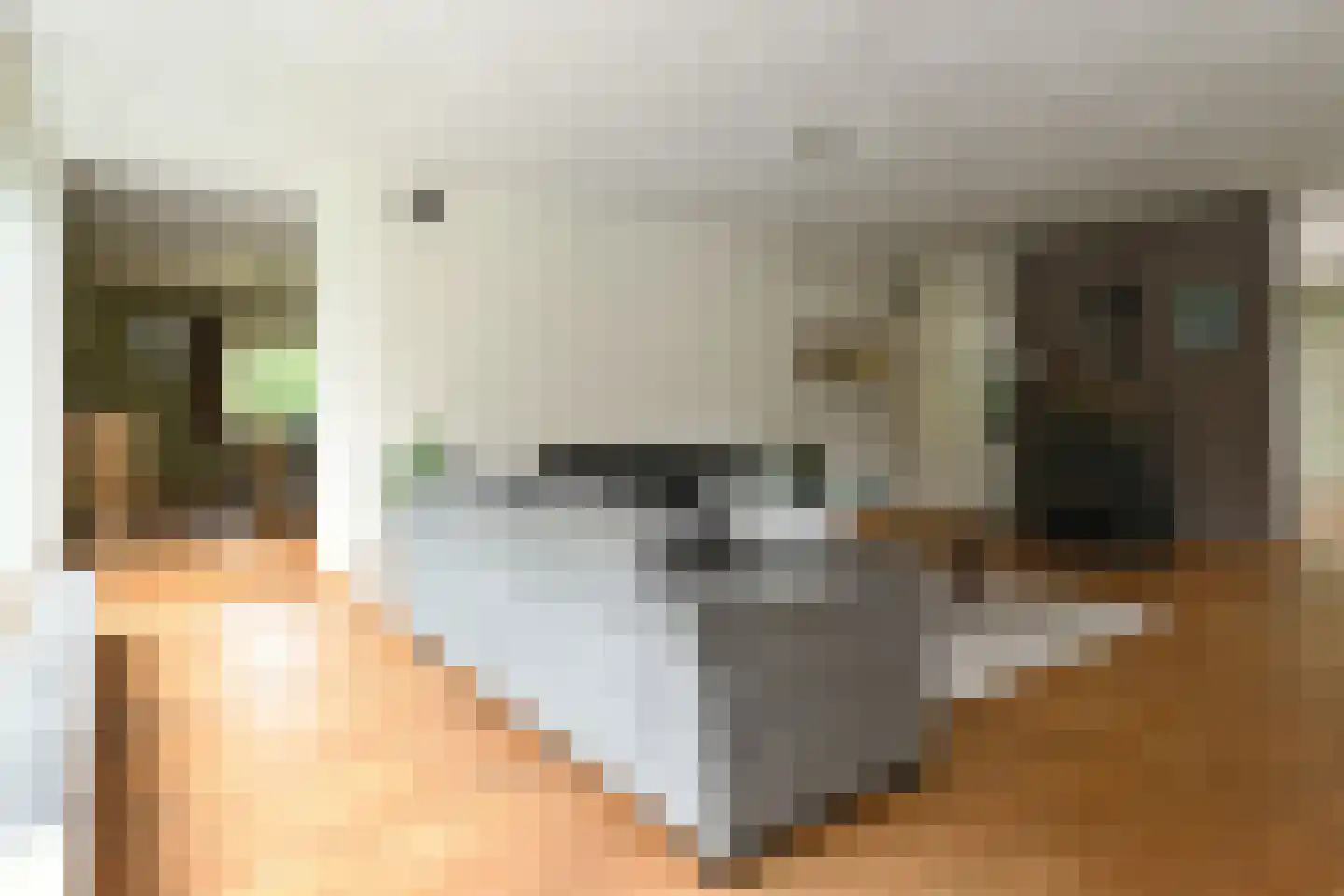 't Laar 1 Haelen thumbnail 10