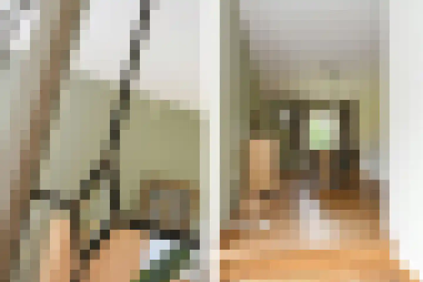 't Laar 1 Haelen thumbnail 11