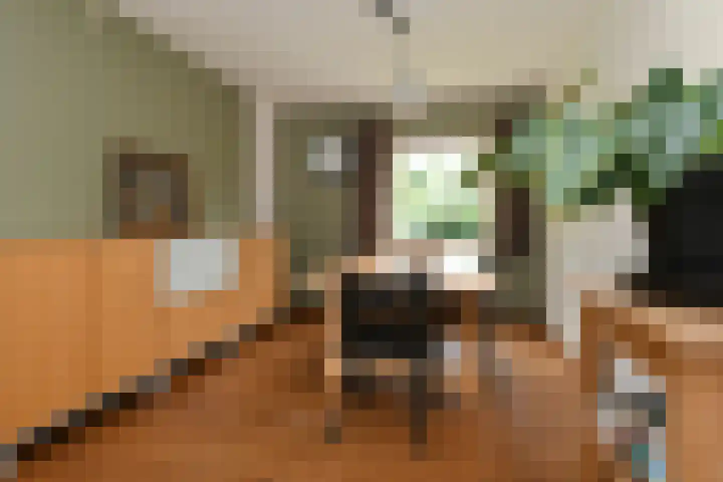 't Laar 1 Haelen thumbnail 13