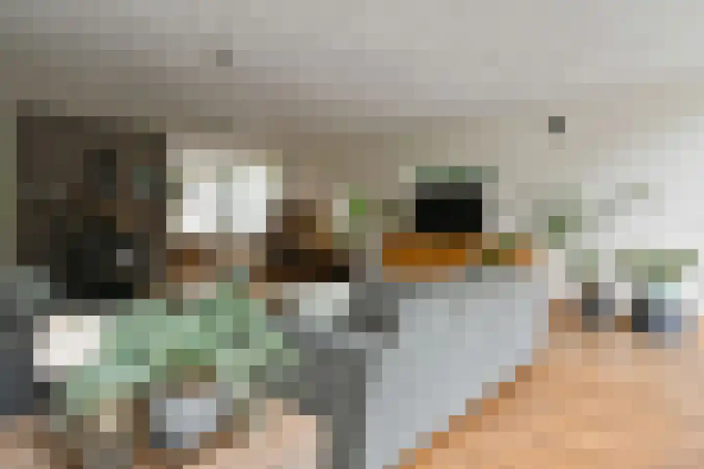 't Laar 1 Haelen thumbnail 14