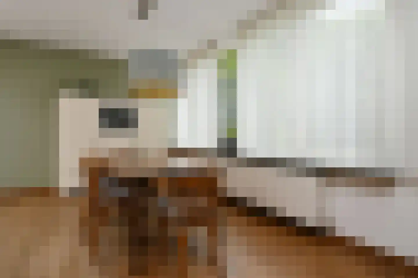't Laar 1 Haelen thumbnail 17