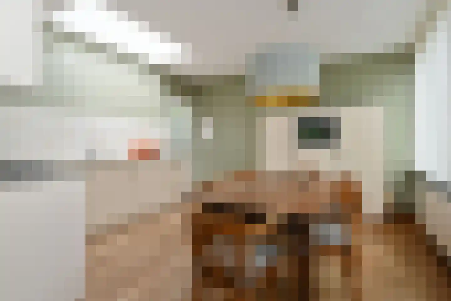 't Laar 1 Haelen thumbnail 18