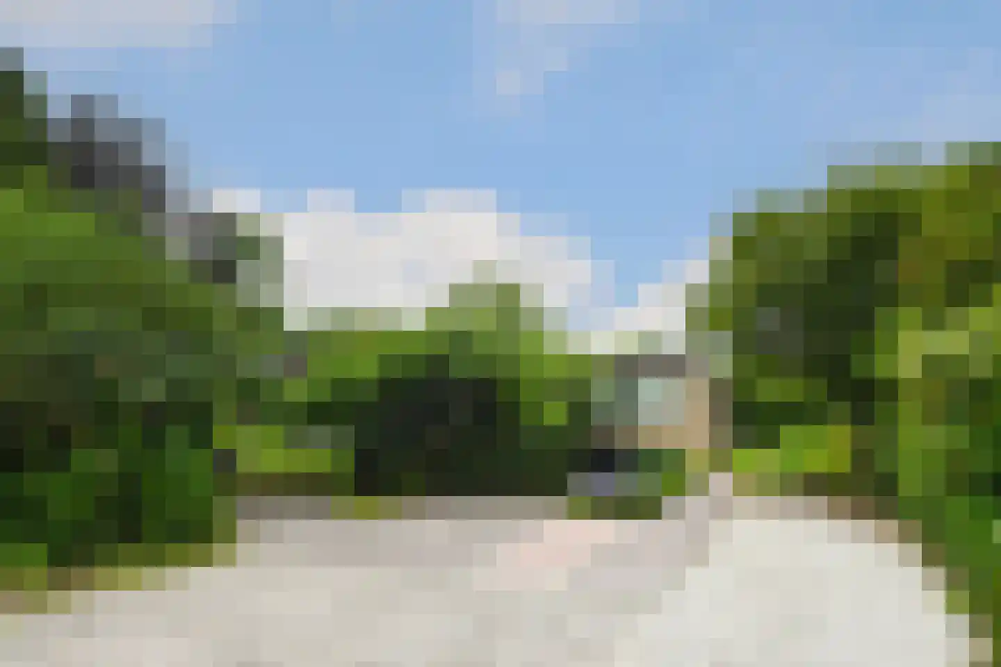 't Laar 1 Haelen foto 3