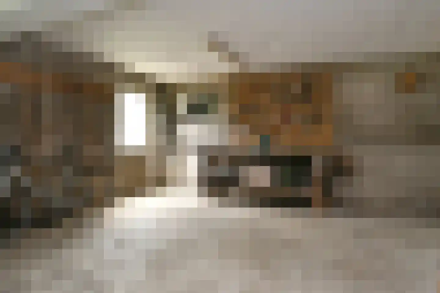 't Laar 1 Haelen thumbnail 32