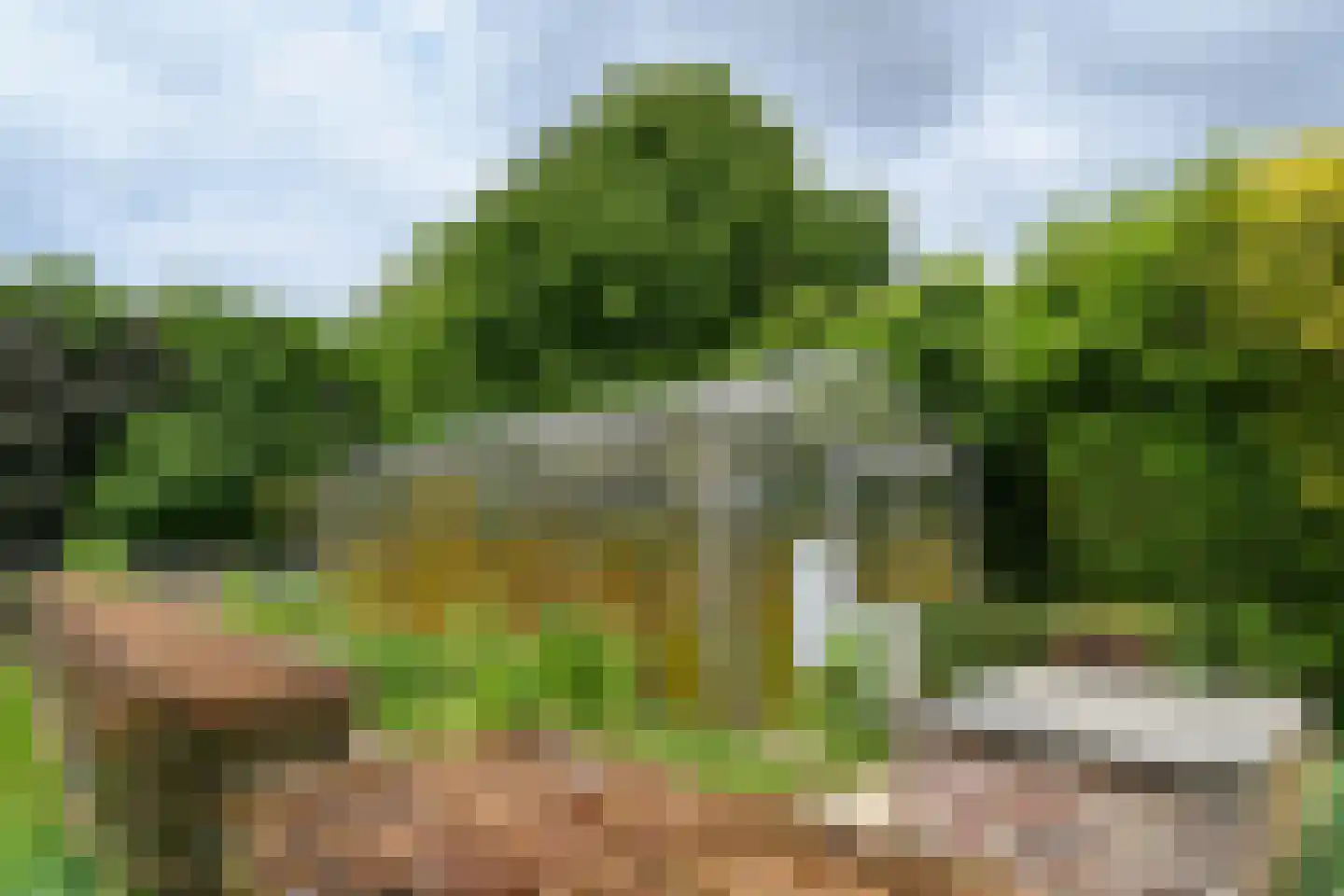 't Laar 1 Haelen thumbnail 34