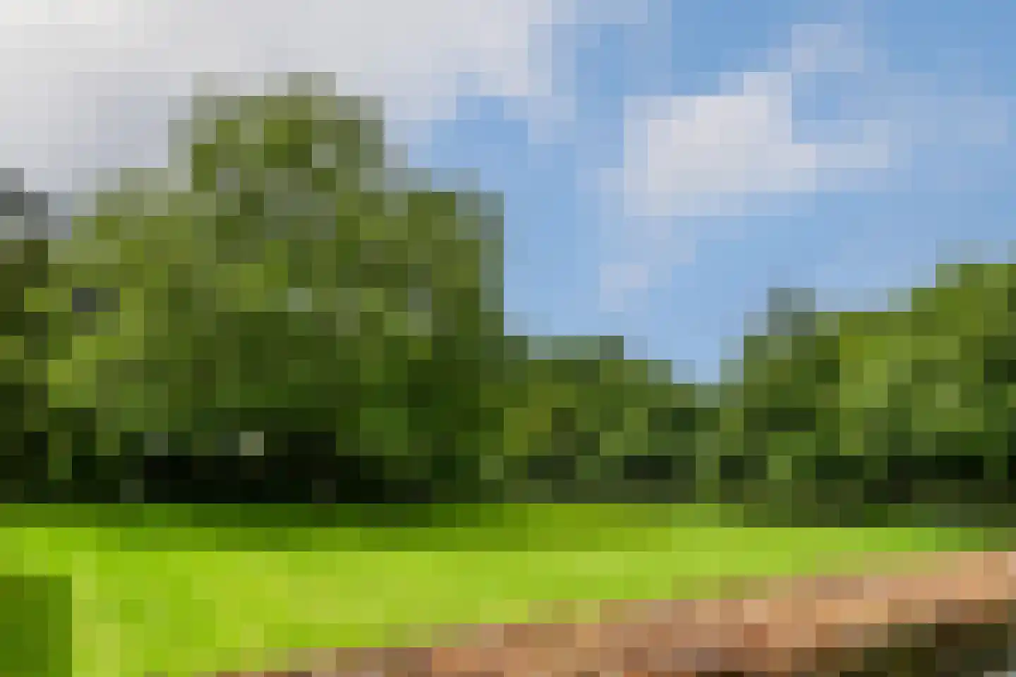't Laar 1 Haelen thumbnail 35
