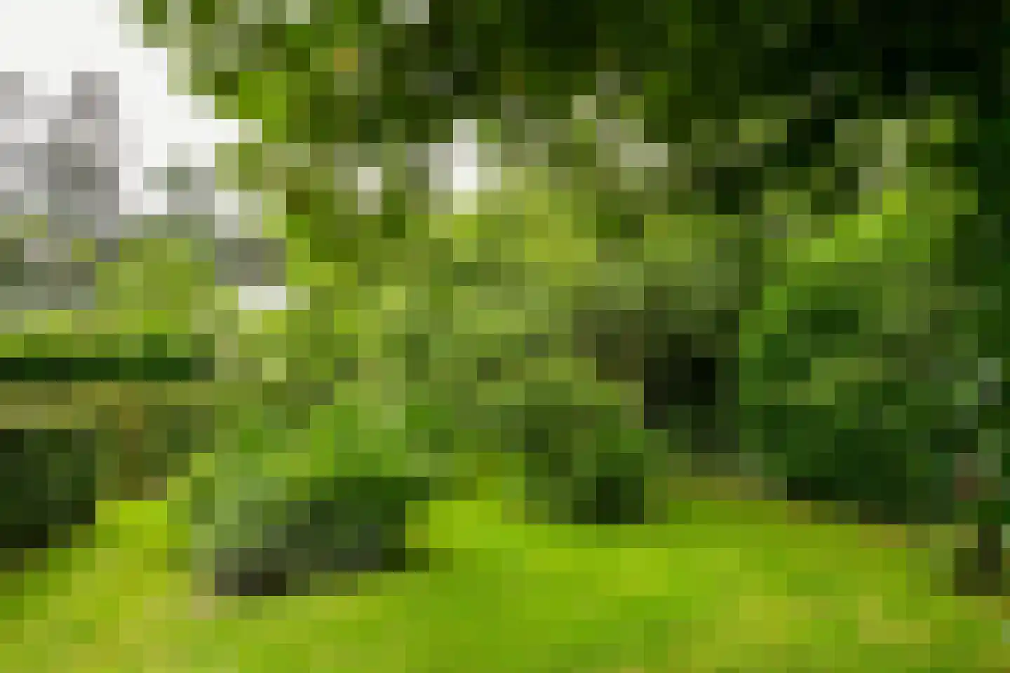 't Laar 1 Haelen thumbnail 37
