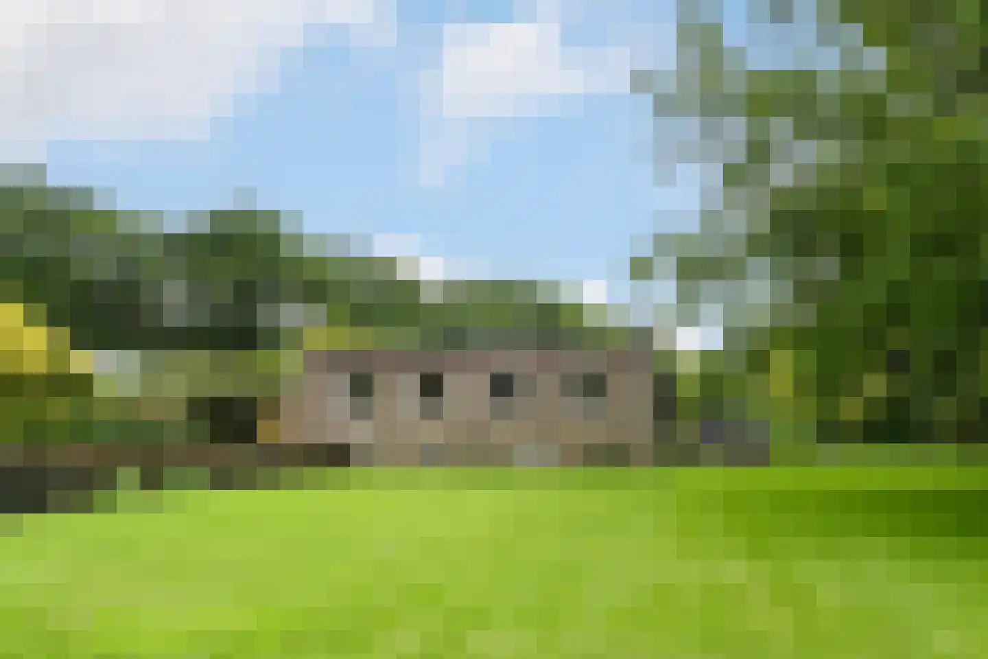 't Laar 1 Haelen thumbnail 41