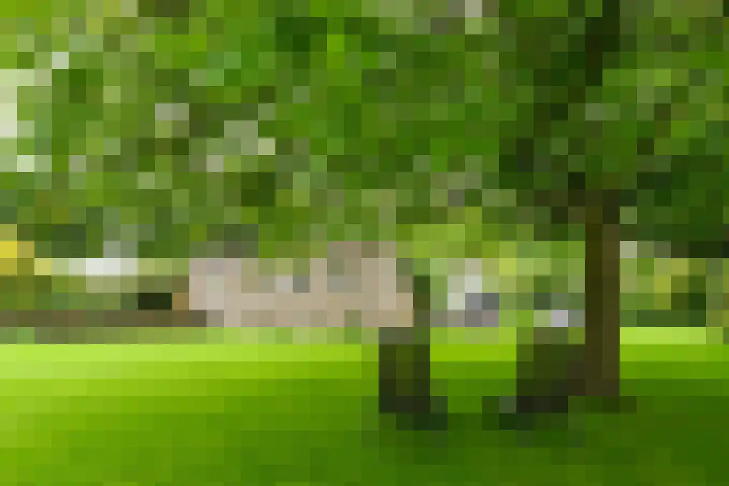 't Laar 1 Haelen thumbnail 43