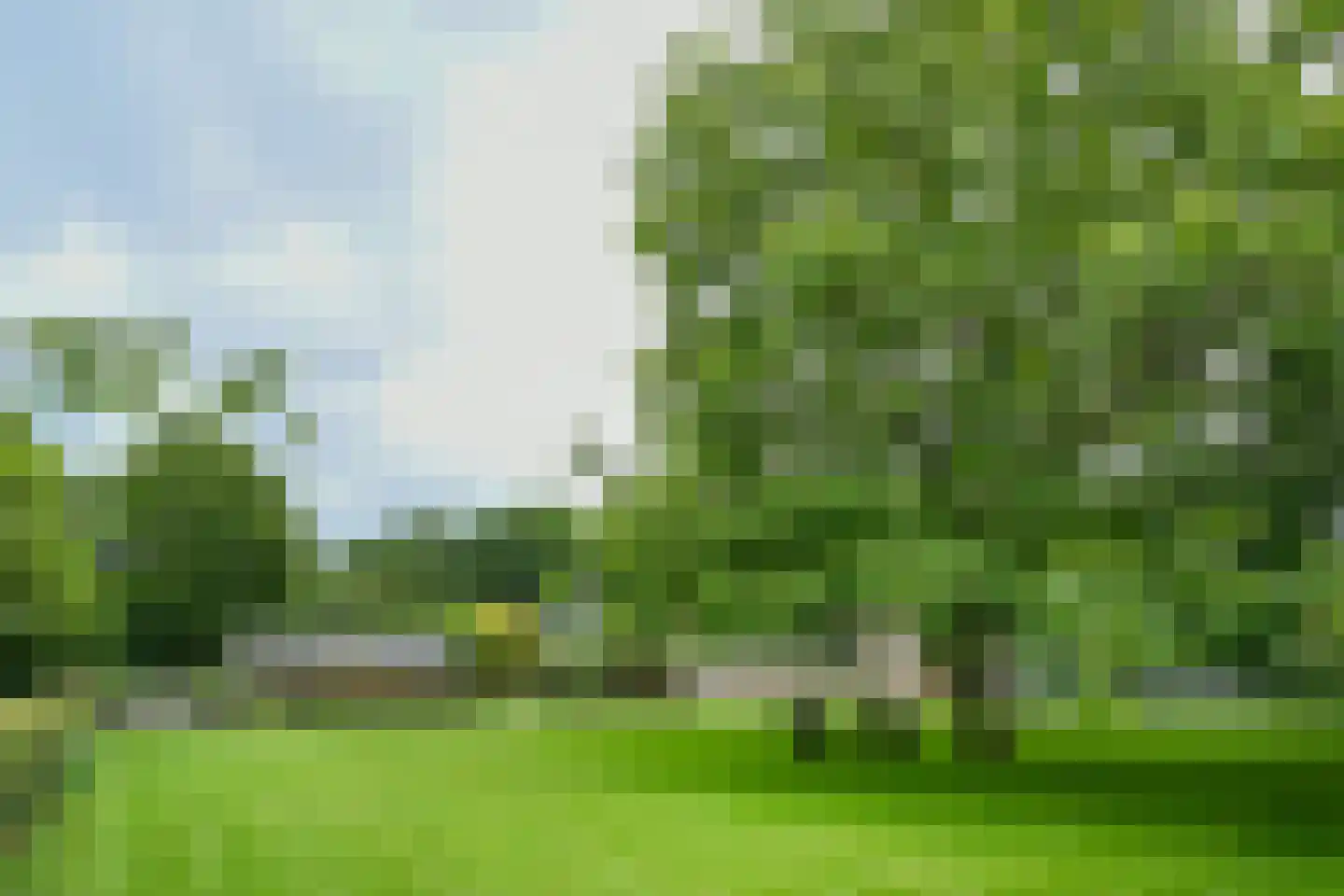 't Laar 1 Haelen thumbnail 44