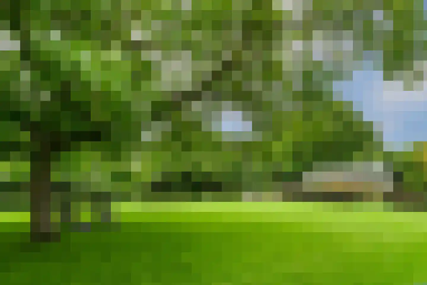 't Laar 1 Haelen thumbnail 45