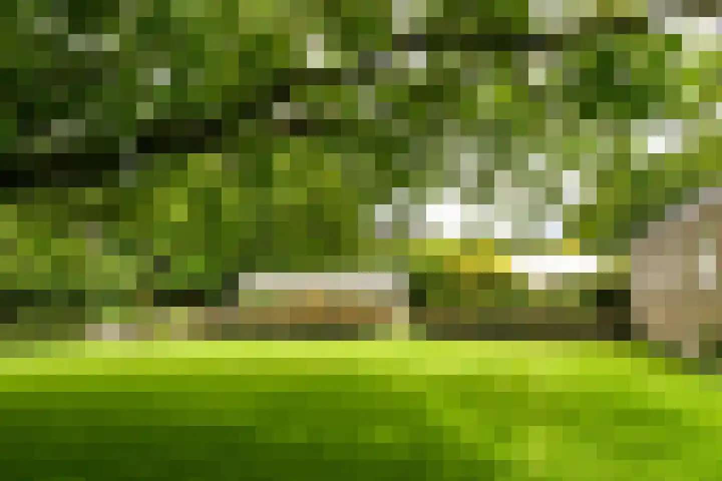 't Laar 1 Haelen thumbnail 46