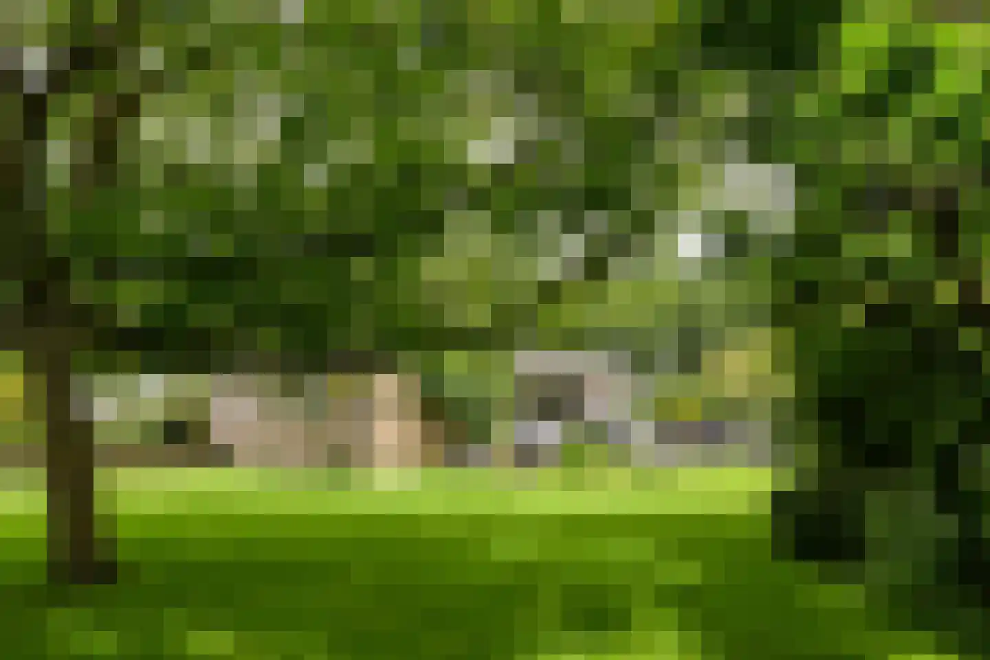 't Laar 1 Haelen thumbnail 47