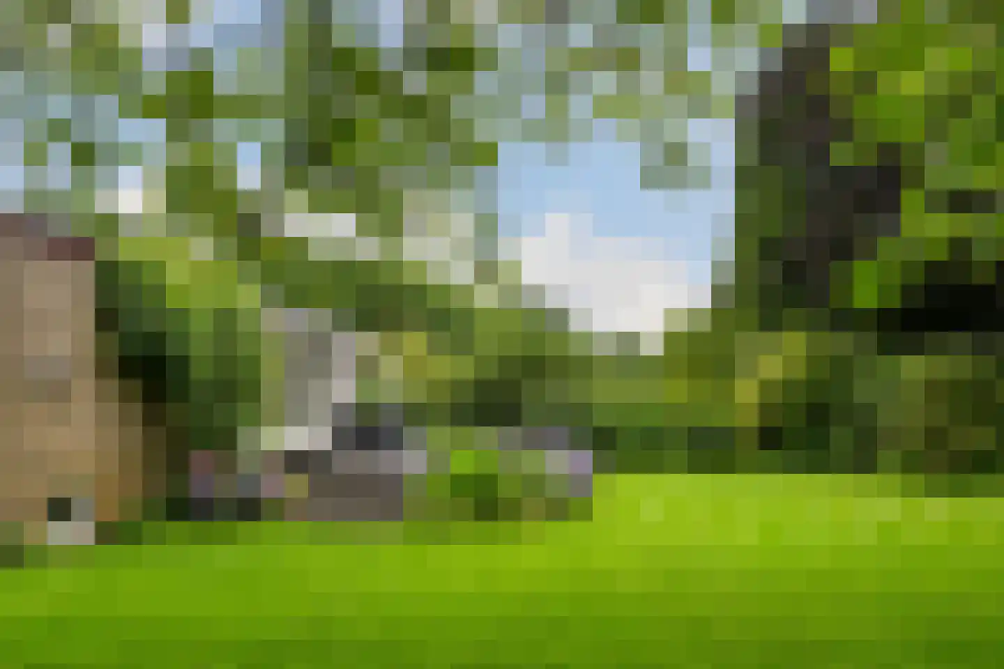 't Laar 1 Haelen thumbnail 49
