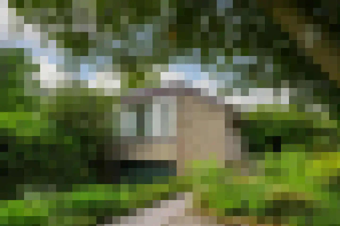 't Laar 1 Haelen thumbnail 5