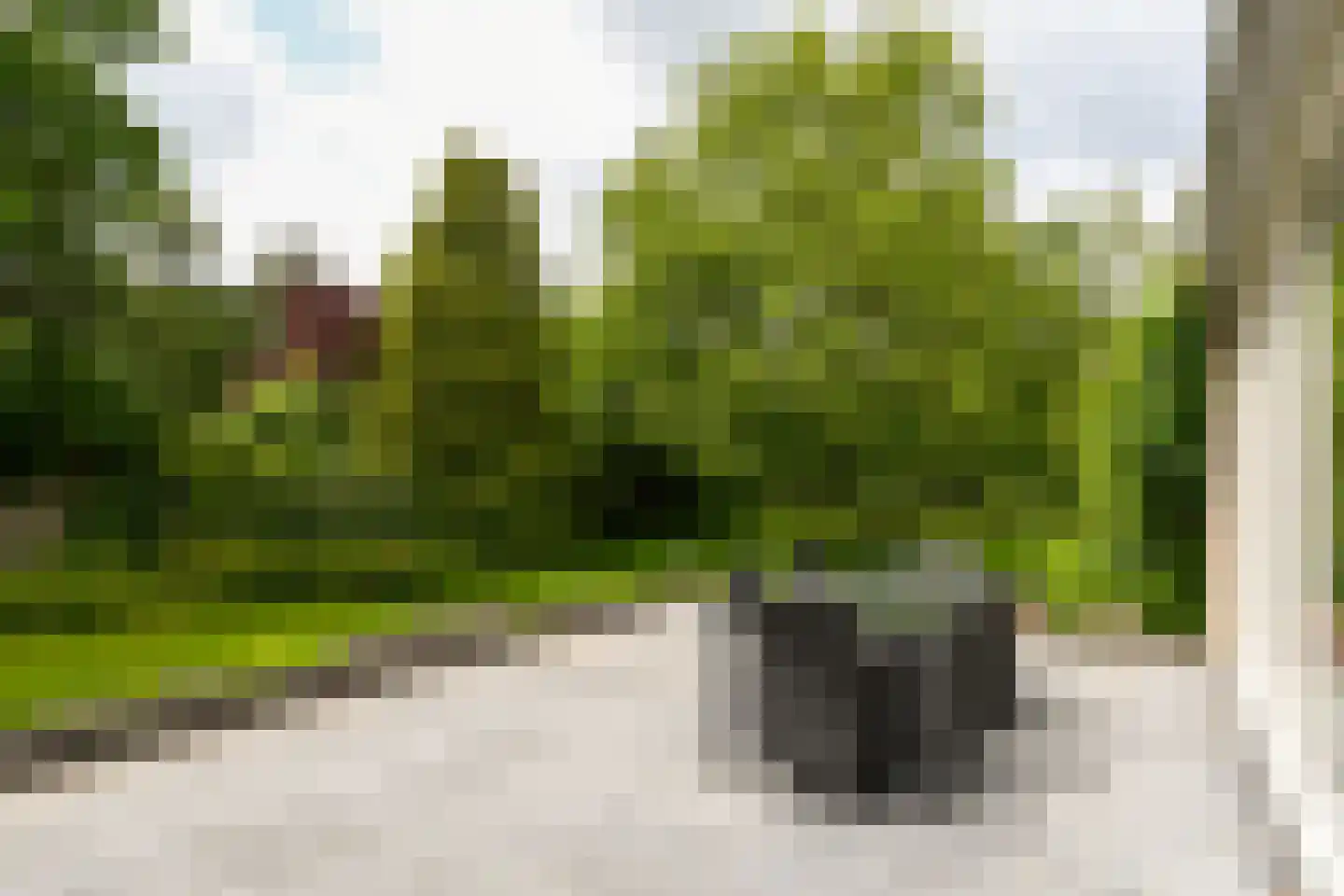 't Laar 1 Haelen thumbnail 52