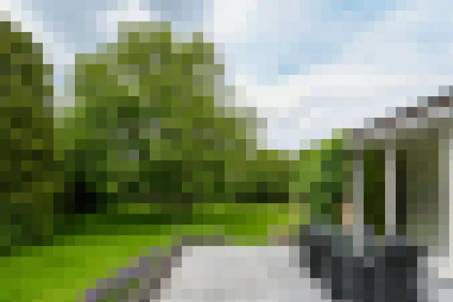 't Laar 1 Haelen thumbnail 53