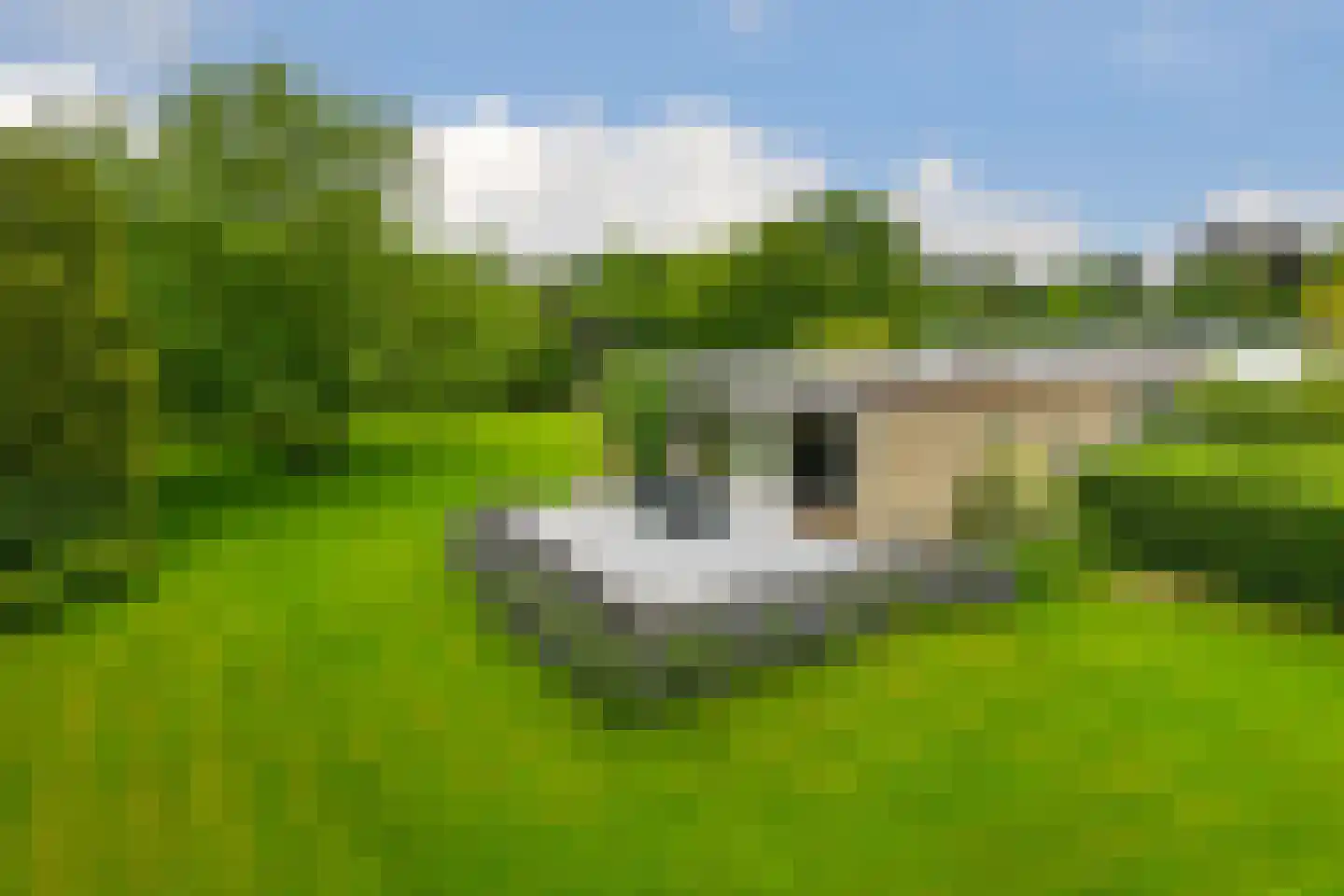 't Laar 1 Haelen thumbnail 55