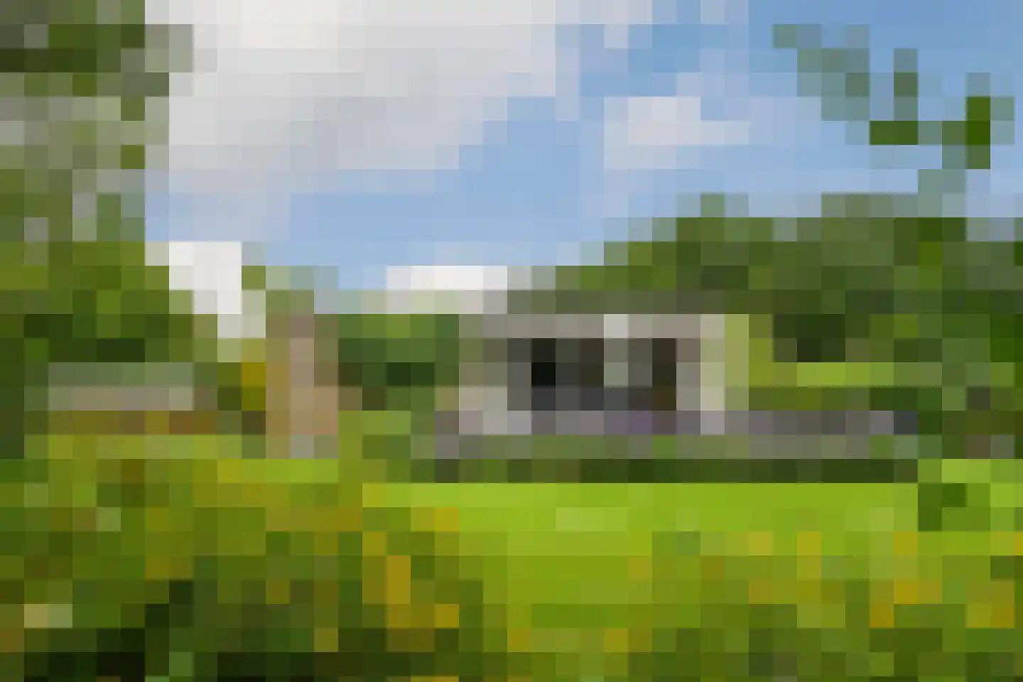 't Laar 1 Haelen thumbnail 56