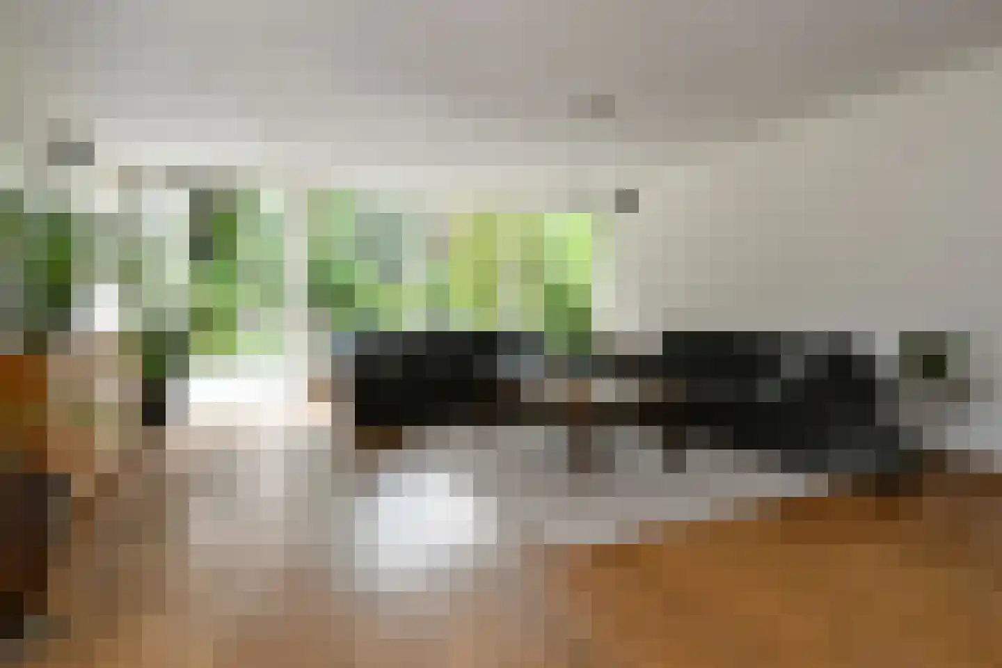 't Laar 1 Haelen thumbnail 8