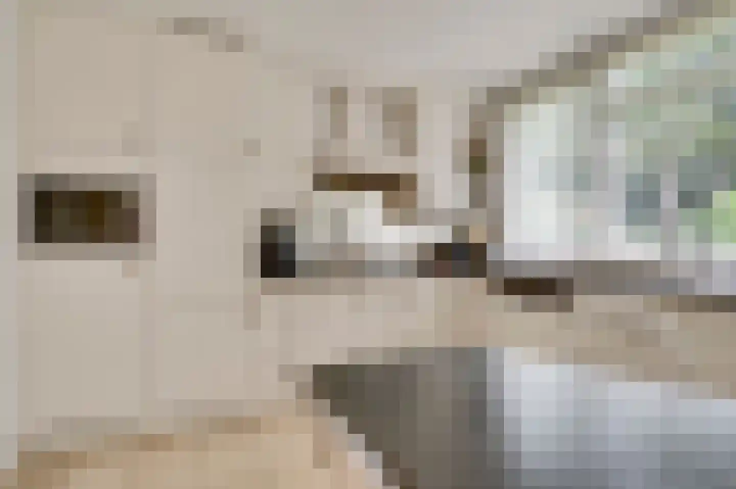 't Laar 2 Haelen thumbnail 10