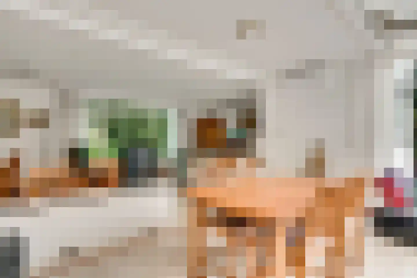 't Laar 2 Haelen thumbnail 15