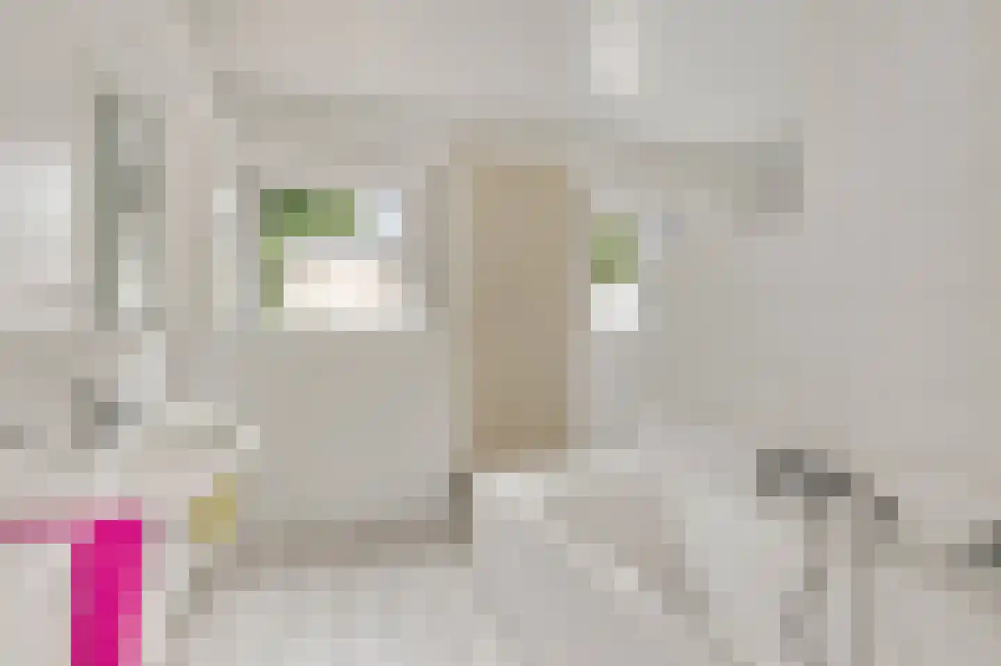 't Laar 2 Haelen thumbnail 23
