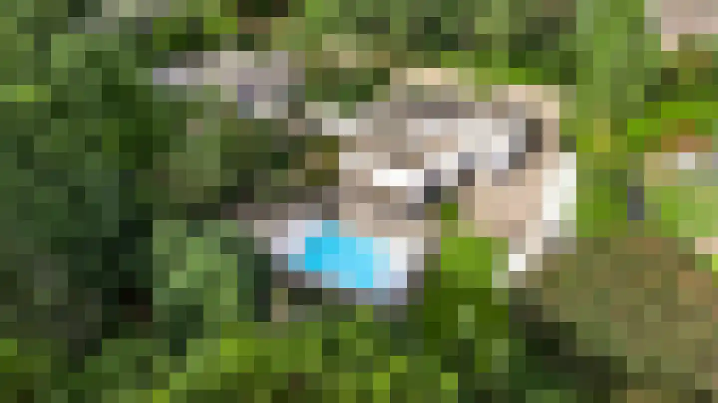 't Laar 2 Haelen foto 3